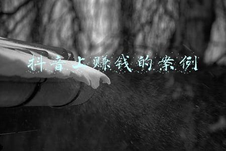 抖音上赚钱的案例