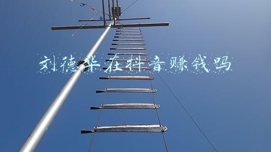 刘德华在抖音赚钱吗