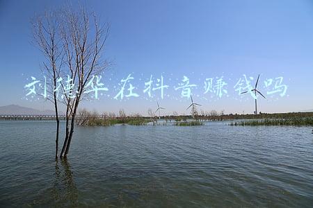 刘徳华入驻抖音(刘德华抖音的数据，真正意识到什么叫红，应该没人比他还强了吧？)