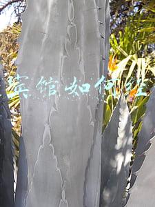 小宾馆如何经营