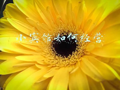 小宾馆如何经营