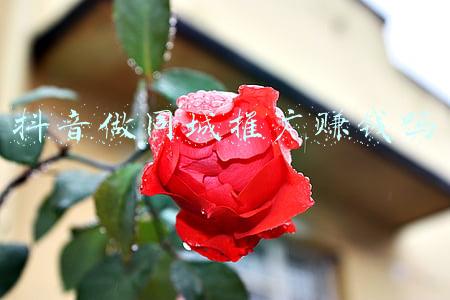 抖音怎么做同城推广(抖音同城码怎么做，怎么赚钱？)