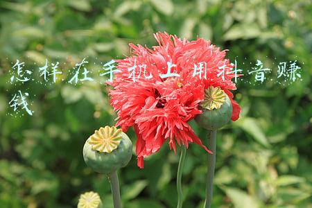 怎样在手机上安装定位(手机怎样定位找人)