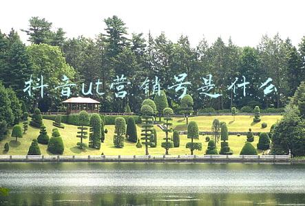 ut教育论坛(“变色龙”涂层伪装帮助装甲车“隐形”)