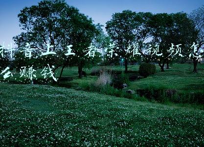 玩王者荣耀怎么赚钱(王者荣耀怎么赚钱)
