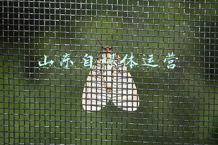 山东新媒体运营公司(喜报！星宏传媒与山东星空新媒体产业联盟达成战略合作)