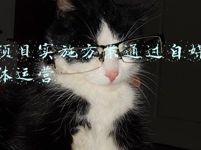 项目投资运营实施方案(国企改革三年行动｜国控资本：释放企业活力 深化推进市场化改革)