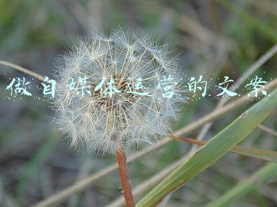 做自媒体运营的文案