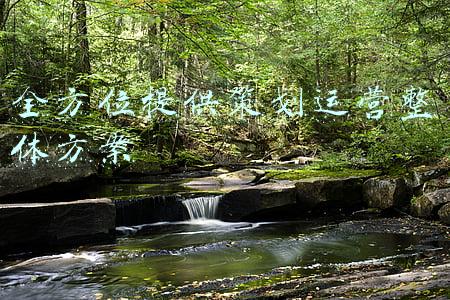 提供全方位服务保障(西华农信联社全方位服务保障客户合法权益)