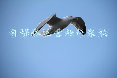 自媒体矩阵运营方案(一个人的战斗，我是如何运营自媒体矩阵的)