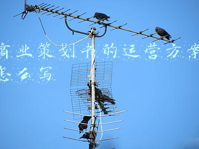 商业计划书运营管理怎么写(商业计划书能帮助那些不知所措的小企业主)