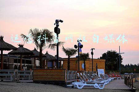 自媒体网红(只有“傻瓜”才会去做网红，做网红背后的人赚得更多)