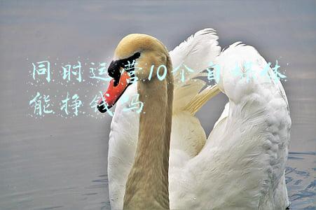 都有哪些自媒体平台可以赚钱(33个自媒体平台，作品发布任何1个，开始赚钱之路)
