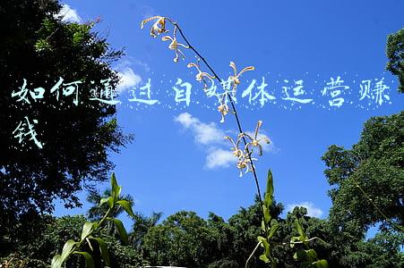 自媒体运营赚钱(普通人做自媒体赚广告收入，不可能发财了，自媒体赚钱玩法全变了)