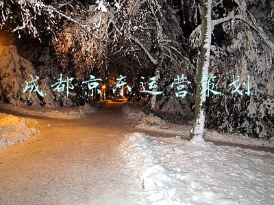 京东运营公司(京东投资成立项目运营管理公司，注册资本300万)