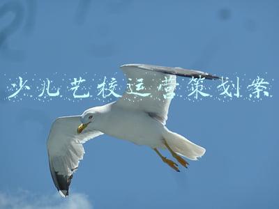 合肥市瑶海区少儿艺校(坚持特色办学，绽放五育之美，合肥市少儿艺术学校教育集团站塘校区用心护航每一名孩子健康成长)