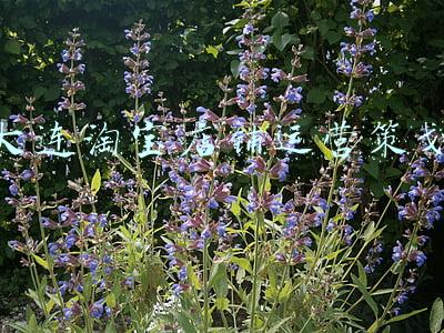 店铺开设与运营策划(2020年餐饮开店方案策划书)