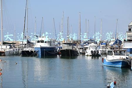 大连淘宝运营公司(大连淘宝代运营公司排名)