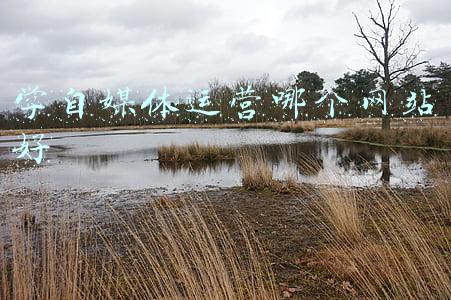 新媒体运营公司网站(这11个新媒体运营人必备的工具网站，助你职场工作提升一大步！)