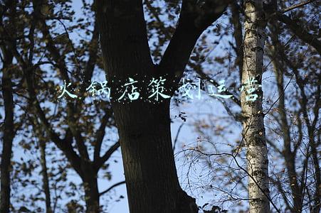 火锅店策划方案(夏季也不怕没生意！最靠谱火锅店营销方案，每天客流不断)