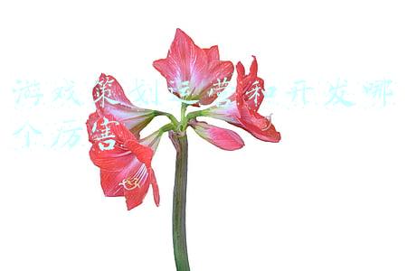 游戏策划(没那么简单：一个合格的游戏策划需要掌握哪些技能？)