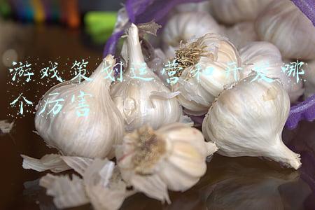 游戏运营策划(全链路打通，“游戏发行人计划”是怎么做《幻塔》内容发行的？)