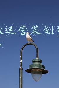 医院运营主要是做什么(注意，医院筹建至运营期间分以下几步走，避免入坑)