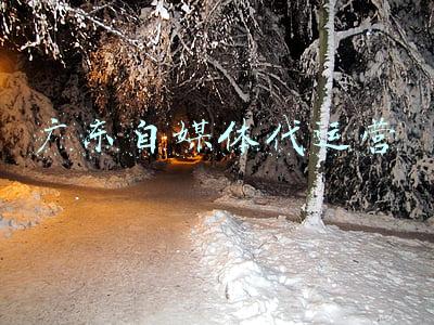 广东自媒体代运营