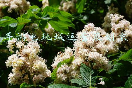 电玩城的经营方案(细节决定成败，电玩城经营要点)