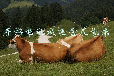 弹弹堂手游电玩之王(弹弹大作战《弹弹堂手游》全新乱斗明日开战)