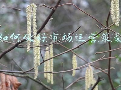 如何做好市场服务工作(六组“关键词”读懂市场监管工作如何服务全面建成小康社会)