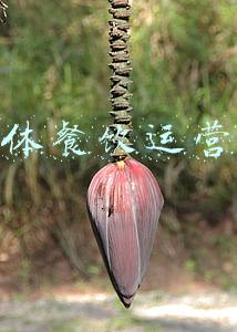 餐饮新媒体运营(实体餐饮创业+自媒体运营经验分享)