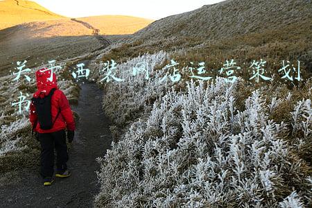 关于西装网店运营策划书