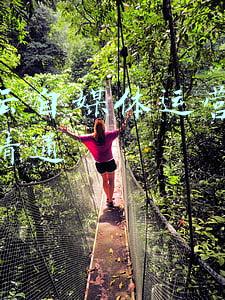 百度云自媒体运营从入门到精通