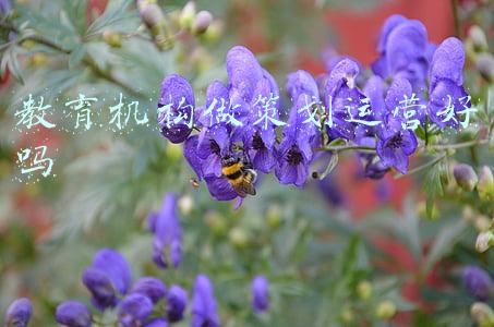 教育机构营销策划(2022年，教育行业五大营销趋势预测)