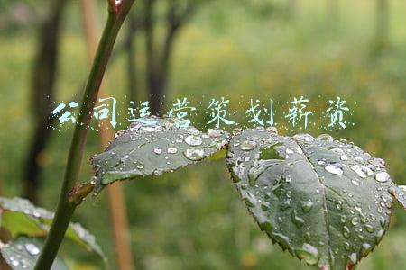 公司薪资方案制定(这是我见过最佳的年终奖发放方案了，优秀HR原来都这样设计年终奖)
