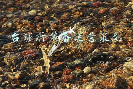 台球厅的台球比赛策划(云鼎国际台球俱乐部简介)