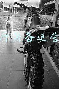 台球厅活动策划方案(台球厅如何线上引流？)