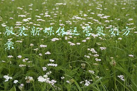 服装新媒体运营策划方案问题(276大牌服装营销策划方案（30份）)