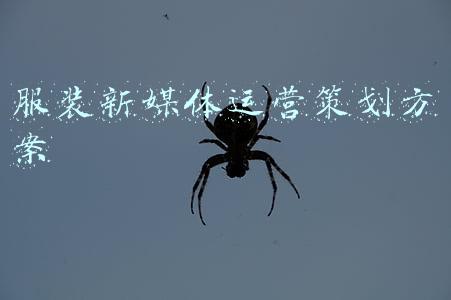 服装新媒体运营工作的起点是(电商直播的发展史，是一部中小主播的奋斗史)