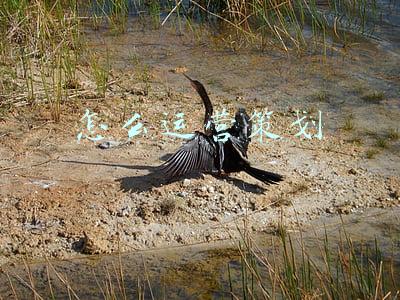 怎么运营抖音号可以快速涨粉(抖音如何快速涨粉？这六点隐形知识你要清楚，特别是第三点！)