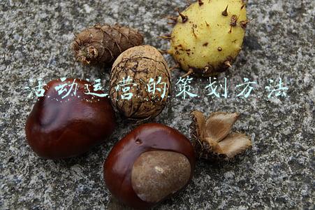 怎样做活动策划(如何策划一场优秀的活动？这五个步骤跟着走)