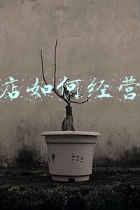 快餐店管理流程（快餐店的管理基本流程）