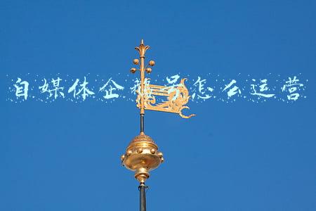 自媒体企鹅号(自媒体如何赚钱，看这里告诉你企鹅号是如何做到五位数的收益)