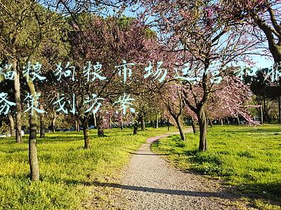 狗粮营销方案(狗粮行业案例，做内容营销需要沉下心来，享受复利)
