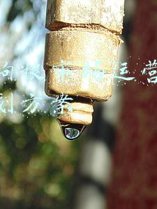 猫粮销售途径市场分析(做猫粮狗粮，没你想象得那么挣钱)