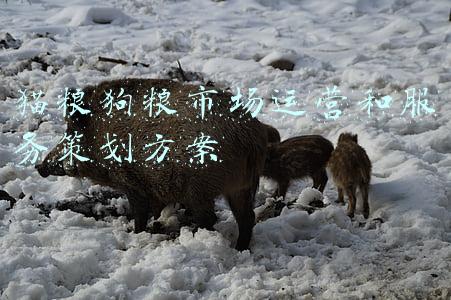 猫粮狗粮品牌排行(比较靠谱的猫粮有哪些牌子的？2021最新排行)
