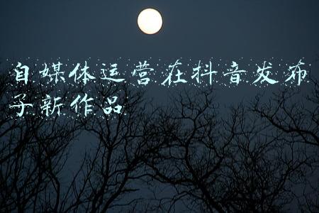抖音刚开始发布作品(你知道吗？抖音作品正确发布流程，让播放量起飞)
