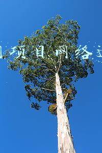 互联网金融项目策划书(315金融类策划方案合集（16份）)
