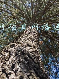 互联网医疗项目策划书(互联网医疗内容产品要如何做)